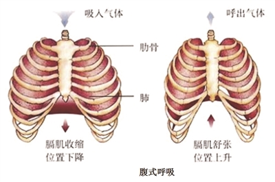 &#20248;&#20048;&#22253;