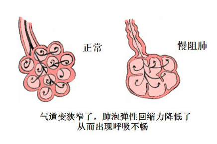 &#20248;&#20048;&#22253;
