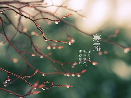 &#20248;&#20048;&#22253;