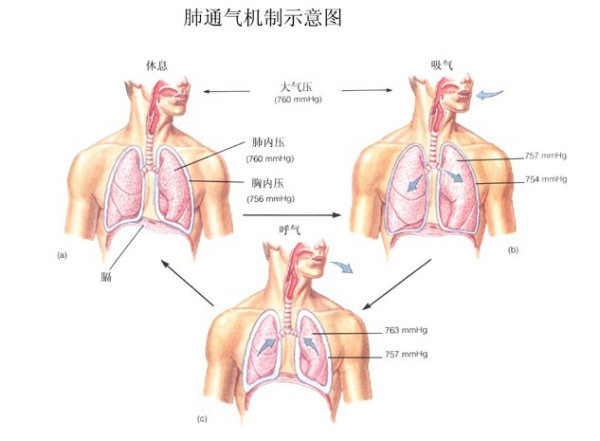&#20248;&#20048;&#22253;