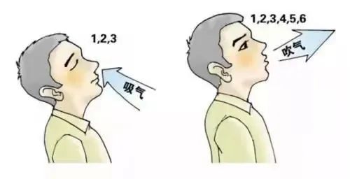 &#20248;&#20048;&#22253;