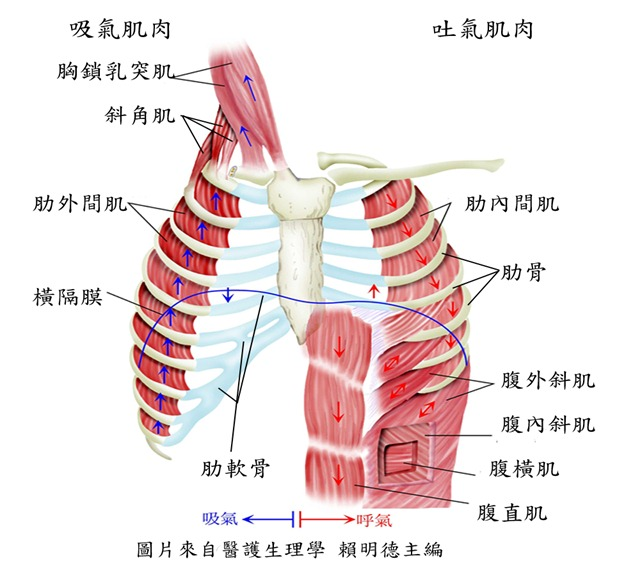&#20248;&#20048;&#22253;