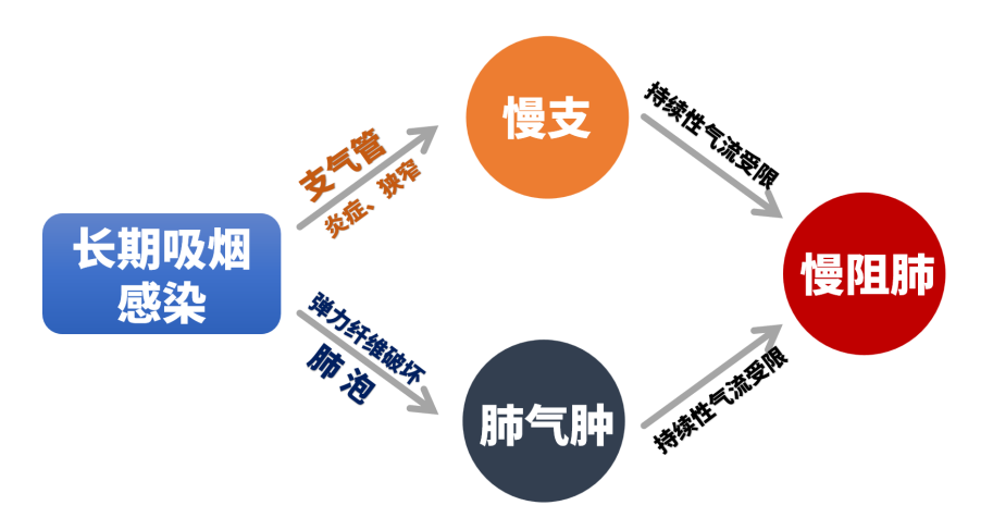&#20248;&#20048;&#22253;