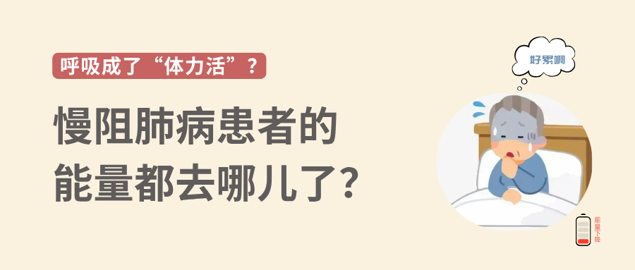 &#20248;&#20048;&#22253;