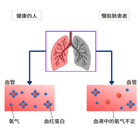 &#20248;&#20048;&#22253;